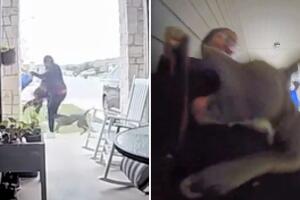 Chante Wright Haywood perro ataca mujer hijo Austin Texas