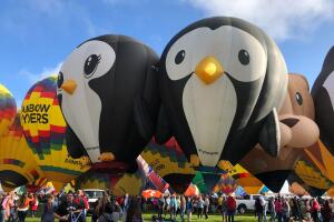 International Balloon Fiesta