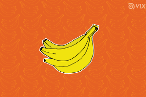 seleccionar-alimentos-13.png
