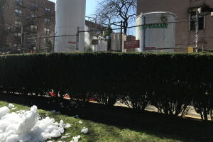 Elmhurst ice 1
