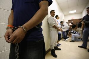 APN Illegals Go Home