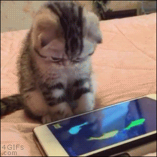 gato-iphone.gif