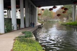 cuerpo río San Antonio Pearl policía investigación