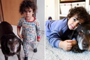 Bebé da impactante lección a su mamá y le enseña que "a los animales no se les pega"