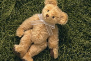 urso-pelucia.jpg