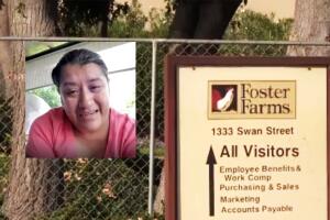 promofosterfarms2.jpg