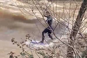 surfista.jpg