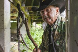 Everglades Python/Python 2.jpg