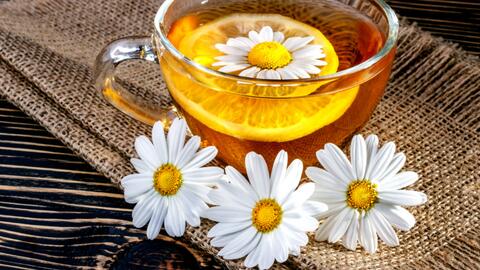 7 Razones Para Beber Te De Manzanilla Todos Los Dias Delicioso Univision 7 Razones Para Beber Te De Manzanilla Todos Los Dias Delicioso Univision