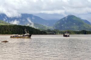 Fishing boats in the Sitka harbor