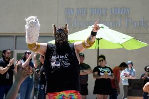 libros y lucha libre en bibliotecas de estados unidos