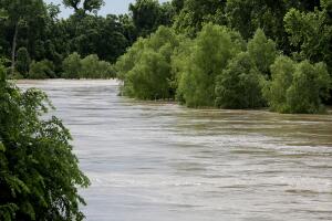 Rising Colorado River In Wharton, Texas Forces Residents To Evacuate