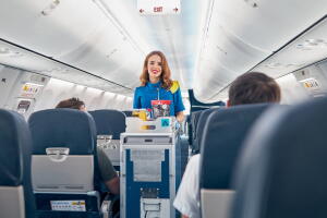 Vuelos comida American Airlines