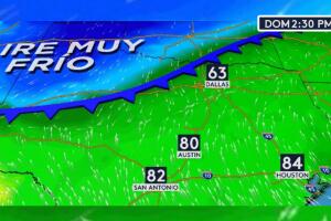 Frente frío Houston Halloween