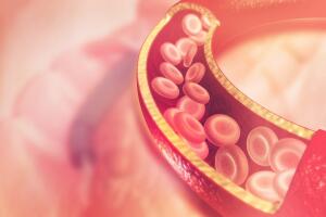 ilustración de plaquetas