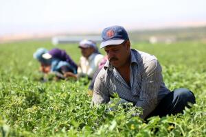 Derechos laborales en California: qué hacer si trabajas al aire libre en el calor extremo