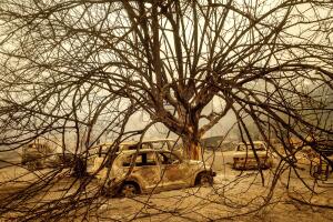 California Wildfires