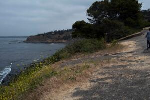 AP22143710022799 (1).jpg