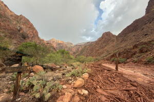 Grand Canyon NPS
