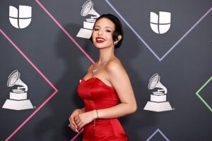 22nd Annual Latin GRAMMY Awards - Press Room