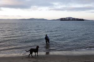 California Daily Life