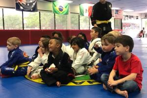 Ju jitsu/jujitzu4.jpeg