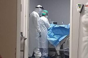 Familia coronavirus 2.jpg