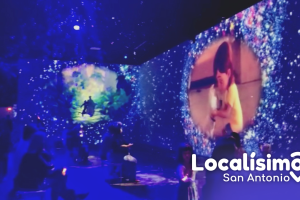 Disney-San Antonio-inmersión-dónde-cuándo-es