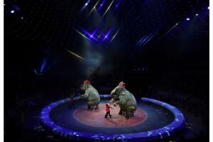 elefantes en circo.jpg