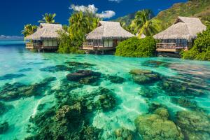 Beautiful above and underwater landscape of a tropical resort
