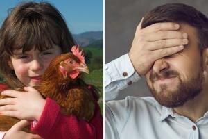 Niña lleva una gallina a la escuela por error: ni sus compañeros entendieron la tarea