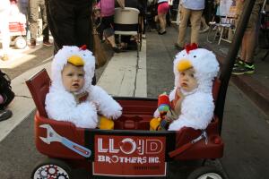 petaluma-festival.jpg