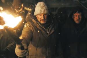 The Grey Liam Neeson.jpg