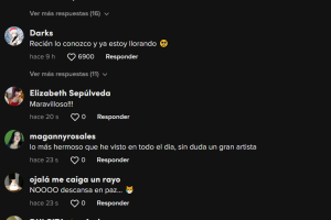 Perrito se vuelve viral en TikTok por pintar cuadros 