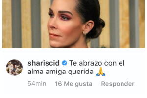 sharis abuela3.jpg