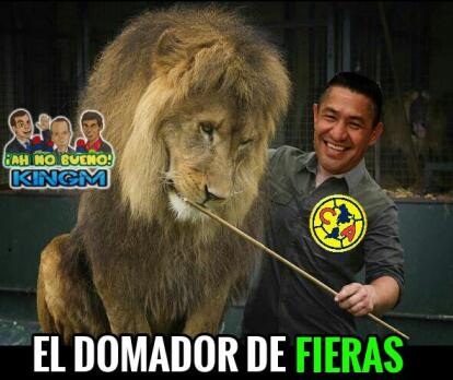 Téléchargement gratuit Images America Elimina Al Leon Esta En Semifinales Y No Faltaron Los dernière par