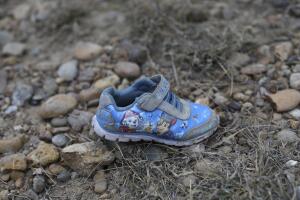 Immigration Border Releases Objects