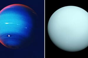 Astrónomos encuentran nuevas lunas en Neptuno y Urano; esto dice su investigación