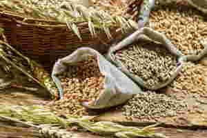 alimentos-fibras-10.jpg