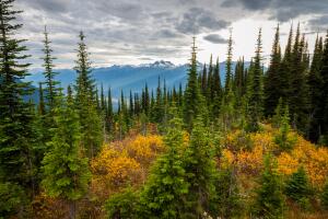 Canadian Mountains Landscape