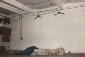 Mexicanos esclavos en el norte de California