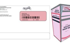 boleta elecciones.jpg