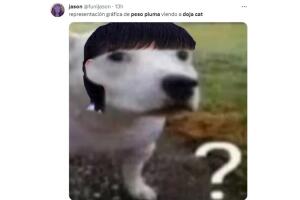 peso_pluma_meme.jpg