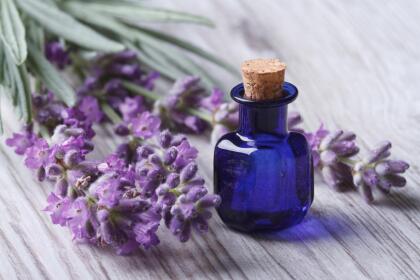 Además de usarse en rituales de amor, la vieja creencia es que se debe perfumar la ropa de la persona con lavanda para atraer a la persona del sexo opuesto y, si se le da regalos al pretendiente, como cartas o muñecos, que estén perfumados con unas cuantas gotas de aceite de lavanda.