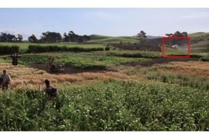 ‘El señor de los anillos'