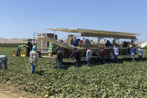 Trabajadores agrícolas y hoteleros desconfían de propuesta migratoria de Trump para regularizar su estatus