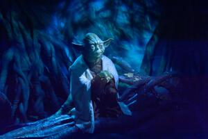 yoda.jpg