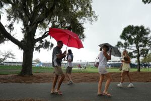 Players Championship Golf