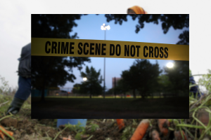 rosa miriam sanchez.png