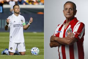 tomaschicha.jpg